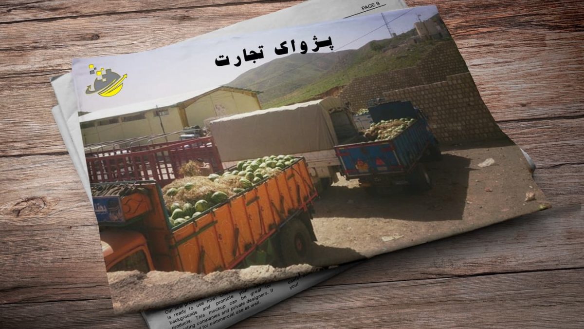 شرکت مدیریت صادرات