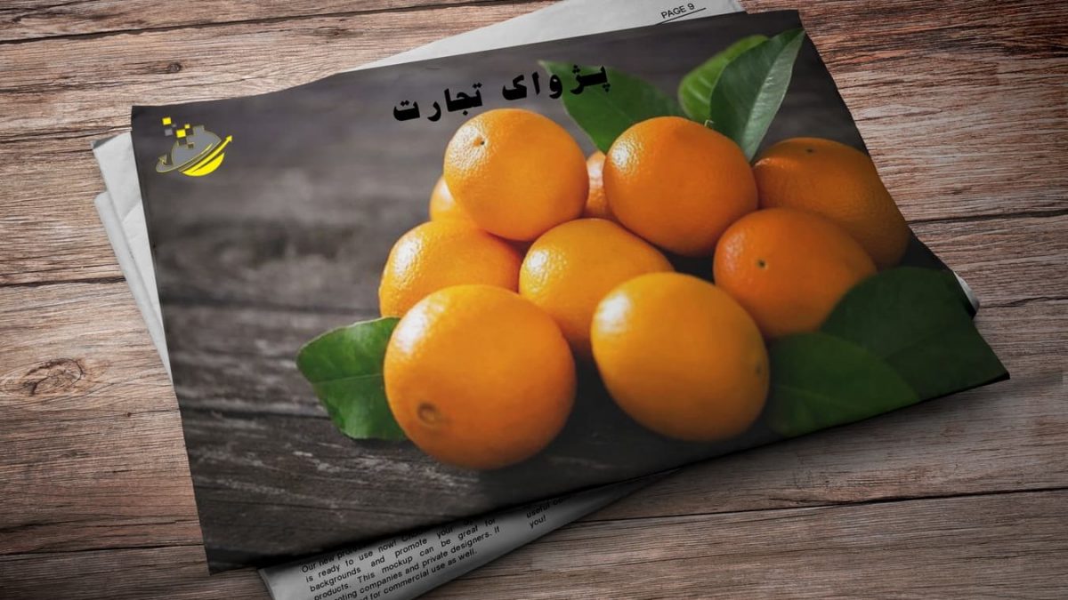 شرکت مديريت صادرات