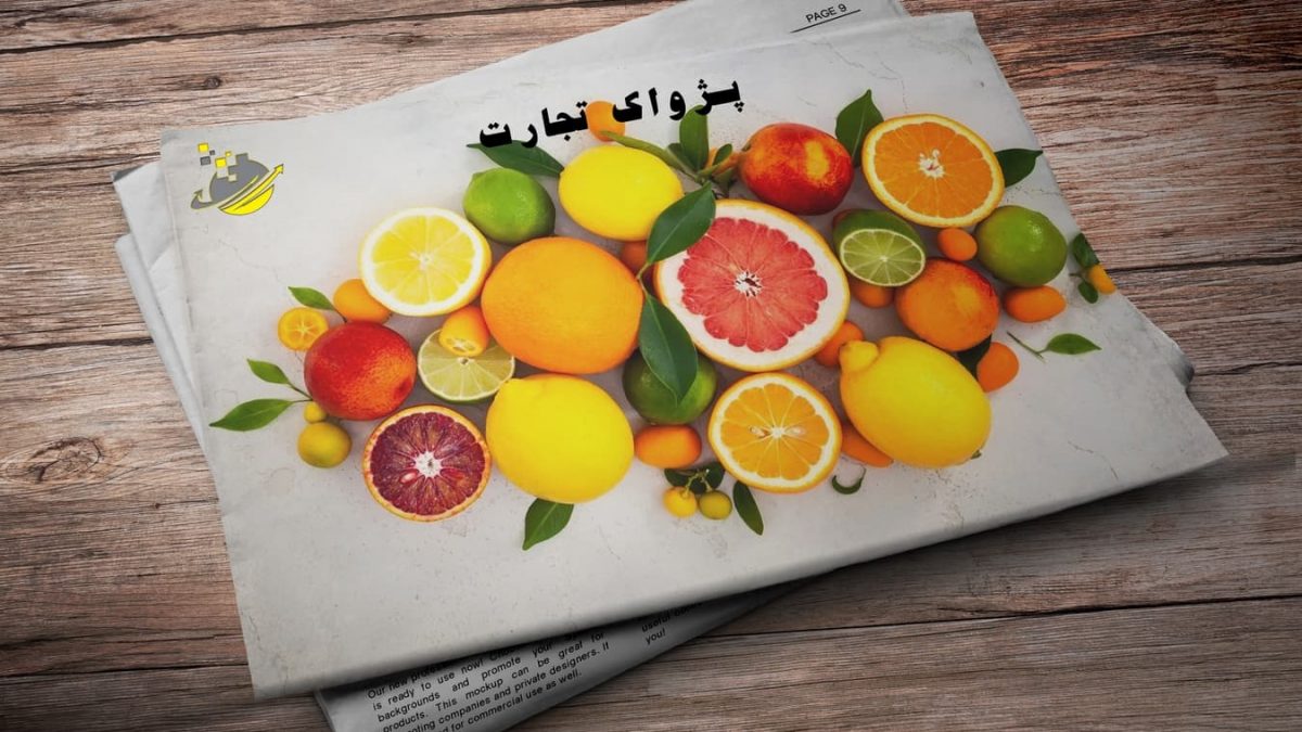شرکت مدیریت صادرات