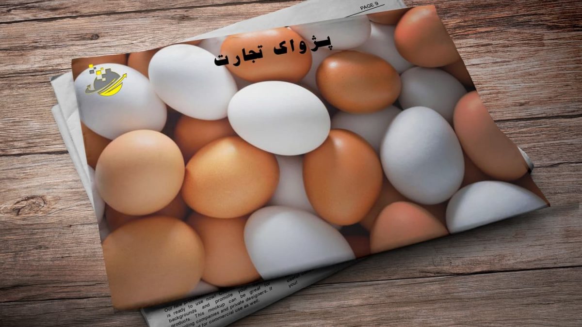 شرکت مدیریت صادرات