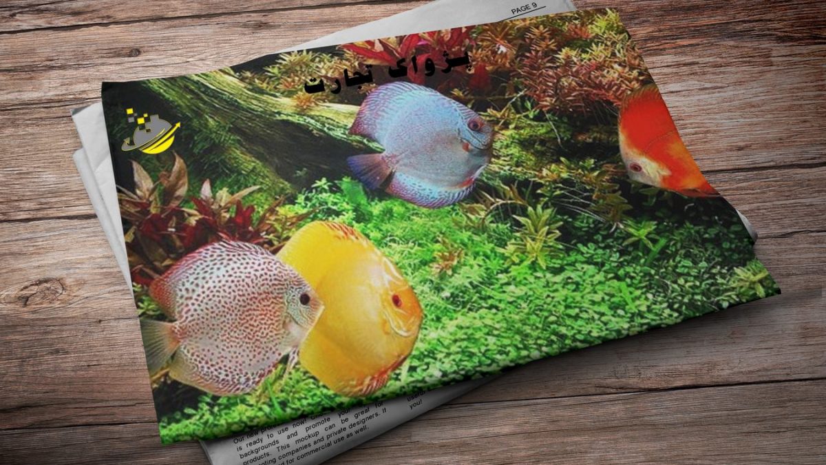 شرکت مدیریت صادرات